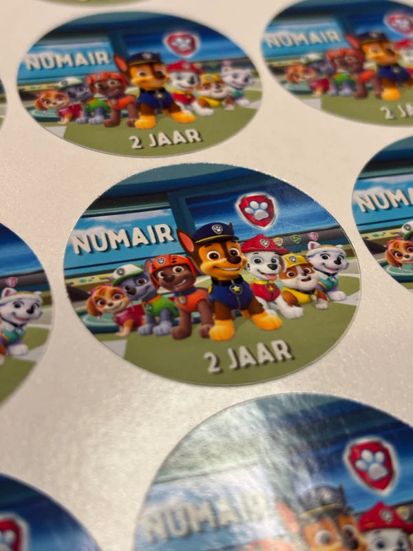 Paw patrol stickers