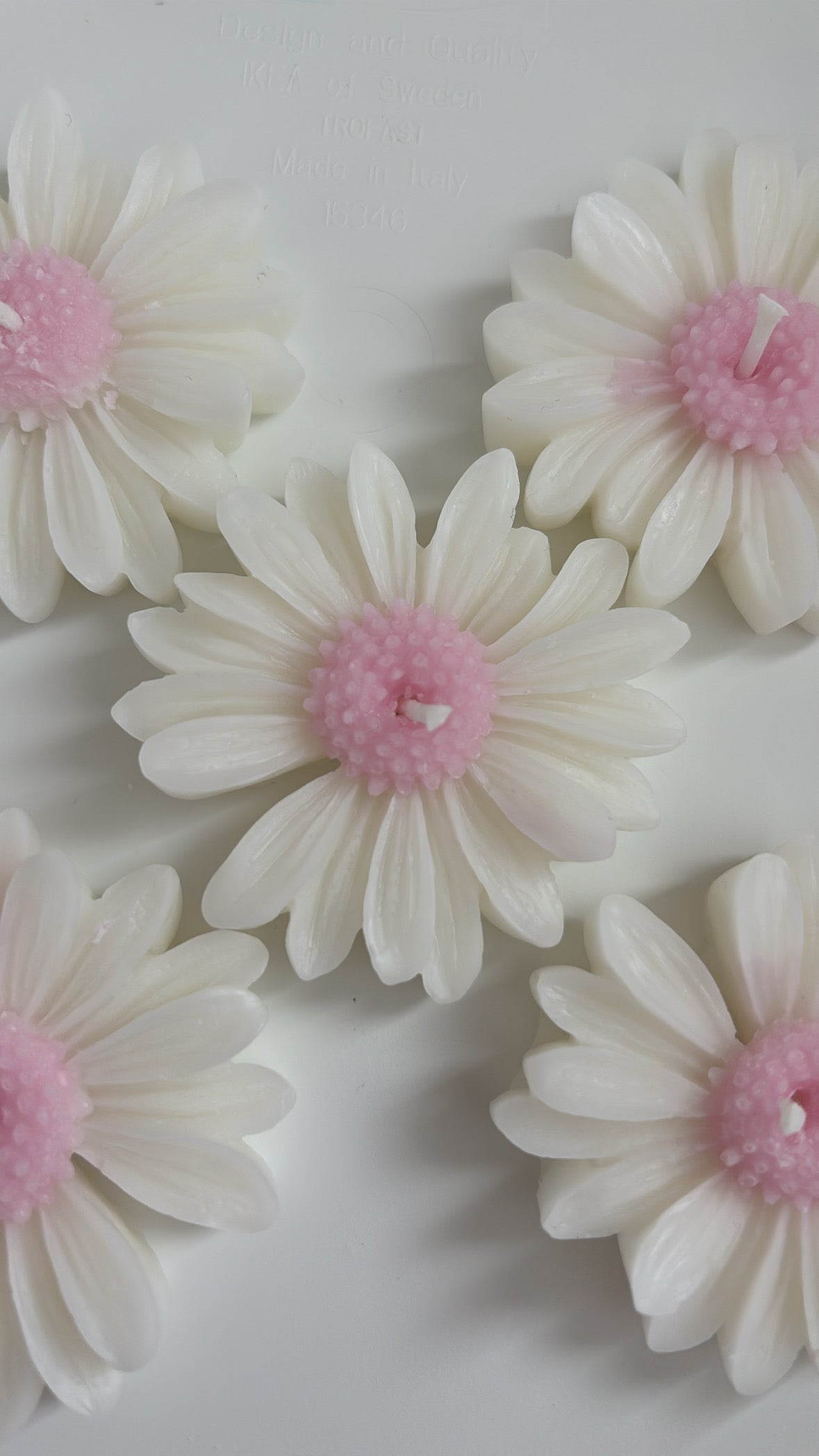 Madelief kaarsen, bloem kaarsen 